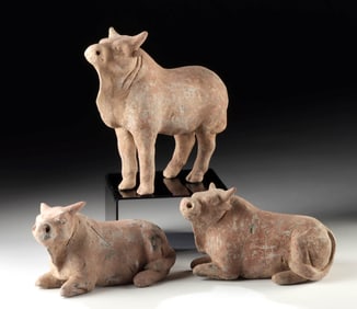 Han Dynasty Pottery Mingqi, Three Bulls Tomb Offerings