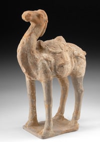 Chinese Tang Pottery Two-Humped Camel Figure