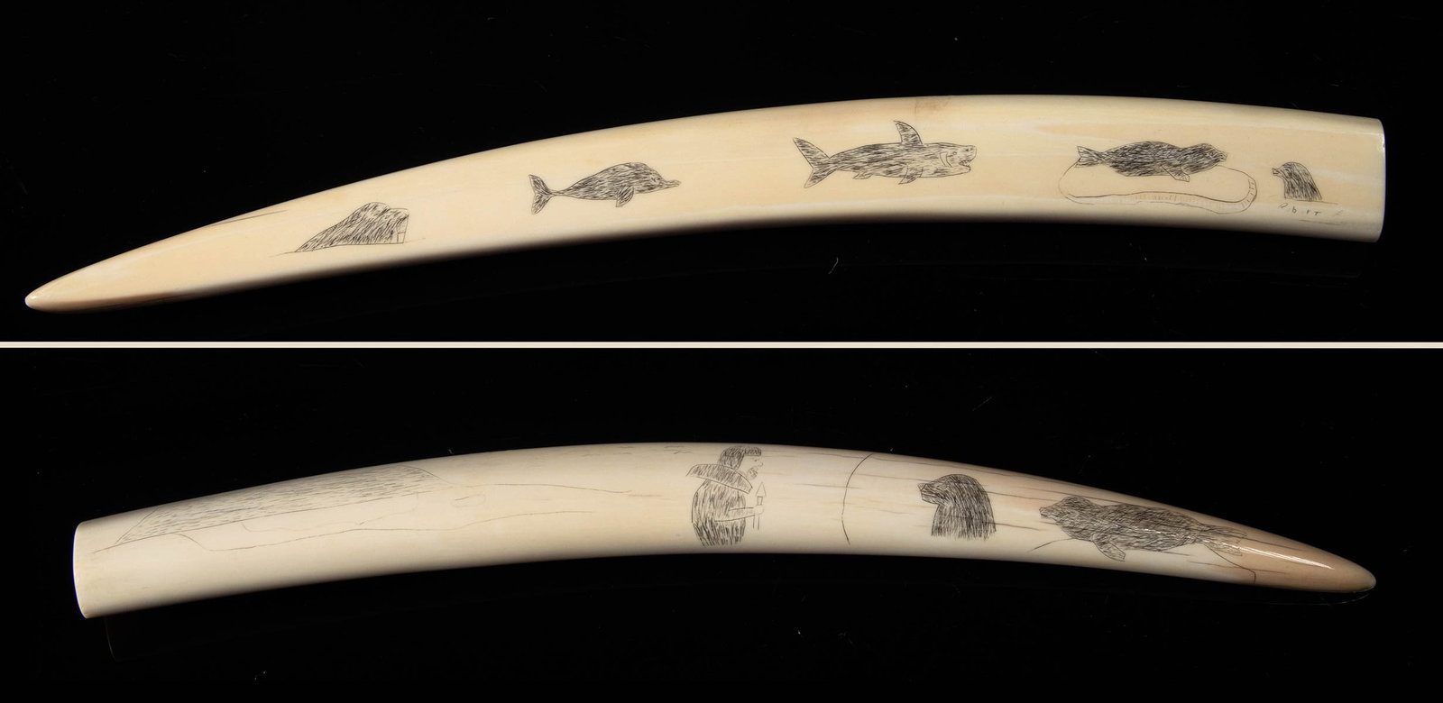Inuit Scrimshaw Walrus Tusk of Marine Animals & Hunter: Native American, Northwestern United States, Alaska, Inuit / Yupik, ca. mid to late 20th century CE. A walrus tusk featuring etched scrimshaw illustrations inked in black to contrast with the natural 
