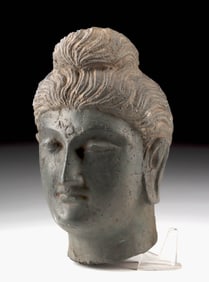 Museum-Quality Gandhara 2nd Century Schist Buddha Head