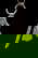 item-208370380=4