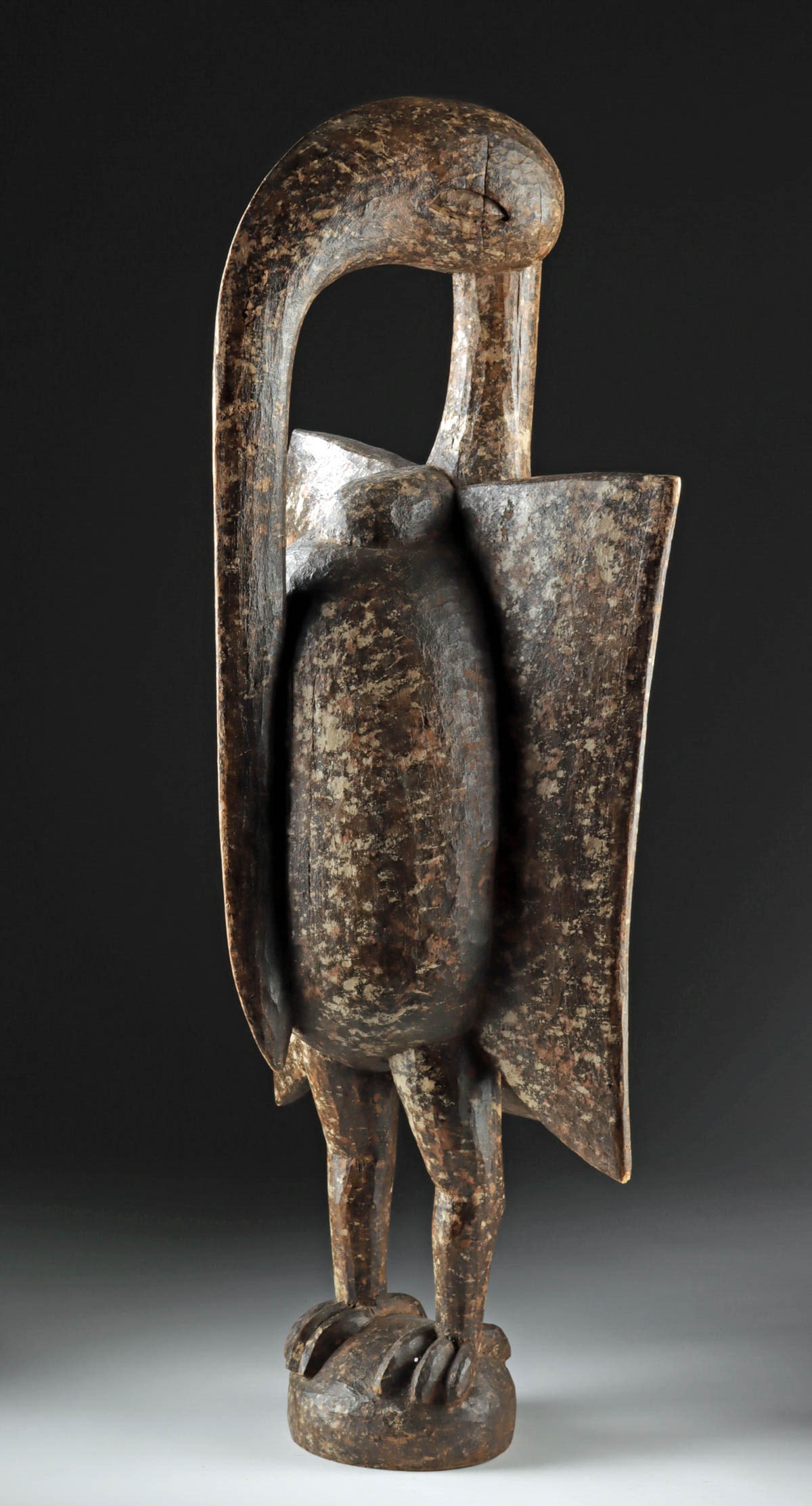 Large Senufo Wood Hornbill Bird for Poro Society (1 of 3)