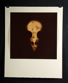 Kate Breakey Printer's Proof - "Skull, Species Unknown"