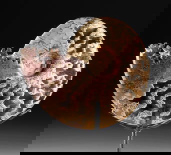 Ammonite Fossil Exposed Sutures & Crystals Chambers: East Africa, Madagascar, Jurassic to Cretaceous period, ca. 200 to 66 million years ago. A fully excavated, fossilized ammonite displaying intricate ammonitic suture patterns across a polished surface