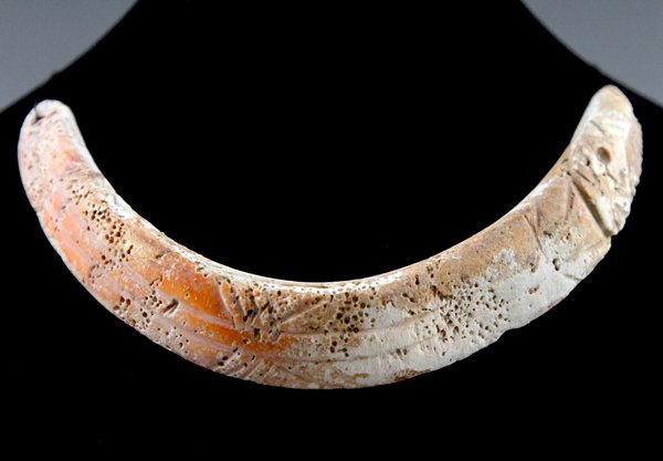 Large Pre-Columbian Colima Carved Shell Pendant: A large and rare Spodylus shell pectoral pendant from the Pre-Columbian Colima region of ancient West Mexico, circa 200 B.C. - 200 A.D. This example measures approximately 4 3/4" wide by about 3" high