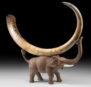 Massive Mammoth Tusk w/ Vivianite Hues, 6.75 Feet Long!