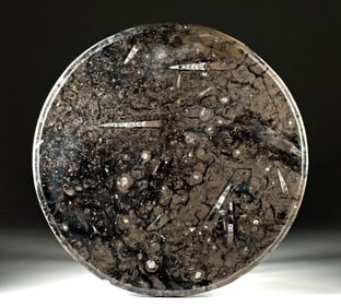 Polished Orthoceras & Ammonite Fossil Slab Table Top