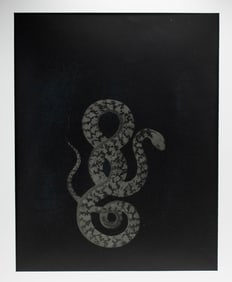 Shirine Gill Photo Serpent Series #3 (2005)