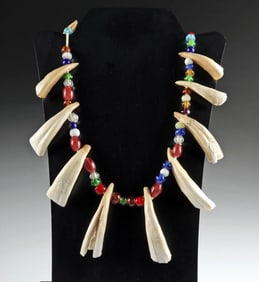 Native American Plains Ojibwa Necklace w/ Teeth