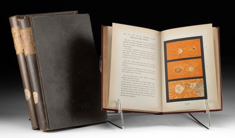 19th C. American Ophthalmoscopy Medical Books (3)