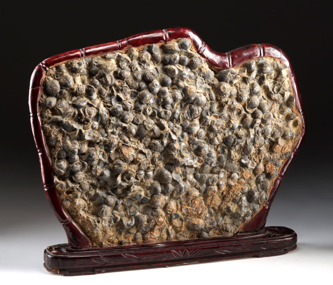 Paleozoic Fossil Stone Panel Marine Shells, ex-Arte (1 of 4)