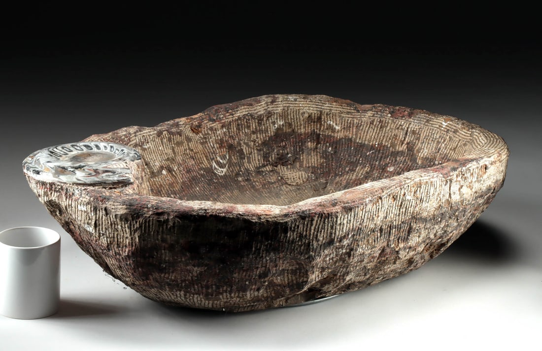 Fossilized Ammonite Carved Stone Matrix Garden Basin (1 of 5)