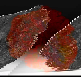 Triassic Arizona Petrified Wood Slab - Vibrant Hues!: North America, Southwestern United States, Arizona, Late Triassic, ca. 225 million years ago. A striking slab of petrified wood with brilliant natural coloration, its polished surface revealing a