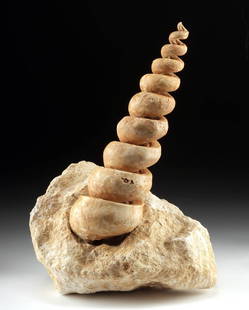 Rare 12-Inch Fossil Gastropod Spiral Shell Casting: Western Europe, Eocene Epoch, ca. 40 million years ago. A large and very rare natural interior casting of a prehistoric sea snail, preserved within its limestone matrix. After this giant gastropod's