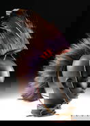 Tribal & Native American Artifacts