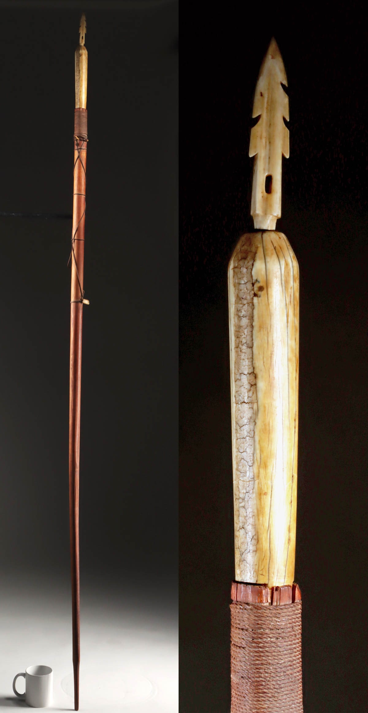 Early Inuit Harpoon - Cedar Shaft, Walrus Ivory Foreshaft, Barb Head: Native American / First Nations, Northwestern United States, Alaska, or Canada, Inuit culture, ca early 20th century CE. An impressive harpoon handcrafted with a long cedarwood shaft and a fixed walru