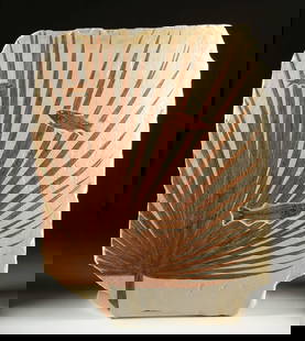 Massive Fossil Panel: Palm & Mioplosus / Knightia Fish: North America, United States, Wyoming, Green River Formation, Eocene Epoch, ca. 53.5 to 48.5 million years ago. A striking fossil panel featuring preserved palm fronds inlaid with three fish - 