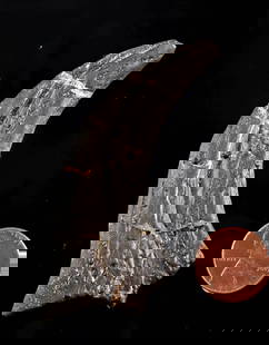 Rare 'Chicken from Hell' Dinosaur Claw, Anzu wyliei: North America, Western United States, Montana, Garfield County, Hell Creek Formation, Late Cretaceous Period, ca. 68 to 66 million years ago. A fascinating fossilized hand claw from Anzu wyliei, the