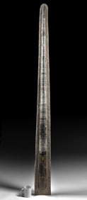 Elongated Fossilized Orthoceras Shell, 78.5"L, Devonian Period, Morocco
