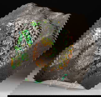 Rare Ammolite Fossil - Iridescent Ammonite in Matrix: North America, Canada, Alberta, Bearpaw Formation, Late Cretaceous, ca. 71 million years ago. A spectacular ammonite fossil of the genus Placenticeras, preserved in a gray stone matrix and