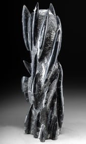 Fossilized Orthoceras Shells in Sculptural Column