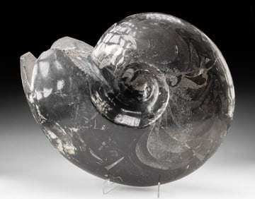 Ammonite-Shaped Stone Sculpture with Fossil Inclusions