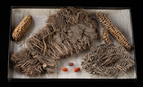 Anasazi Yucca Fiber Sandal & Teosinte Early Maize Cobs