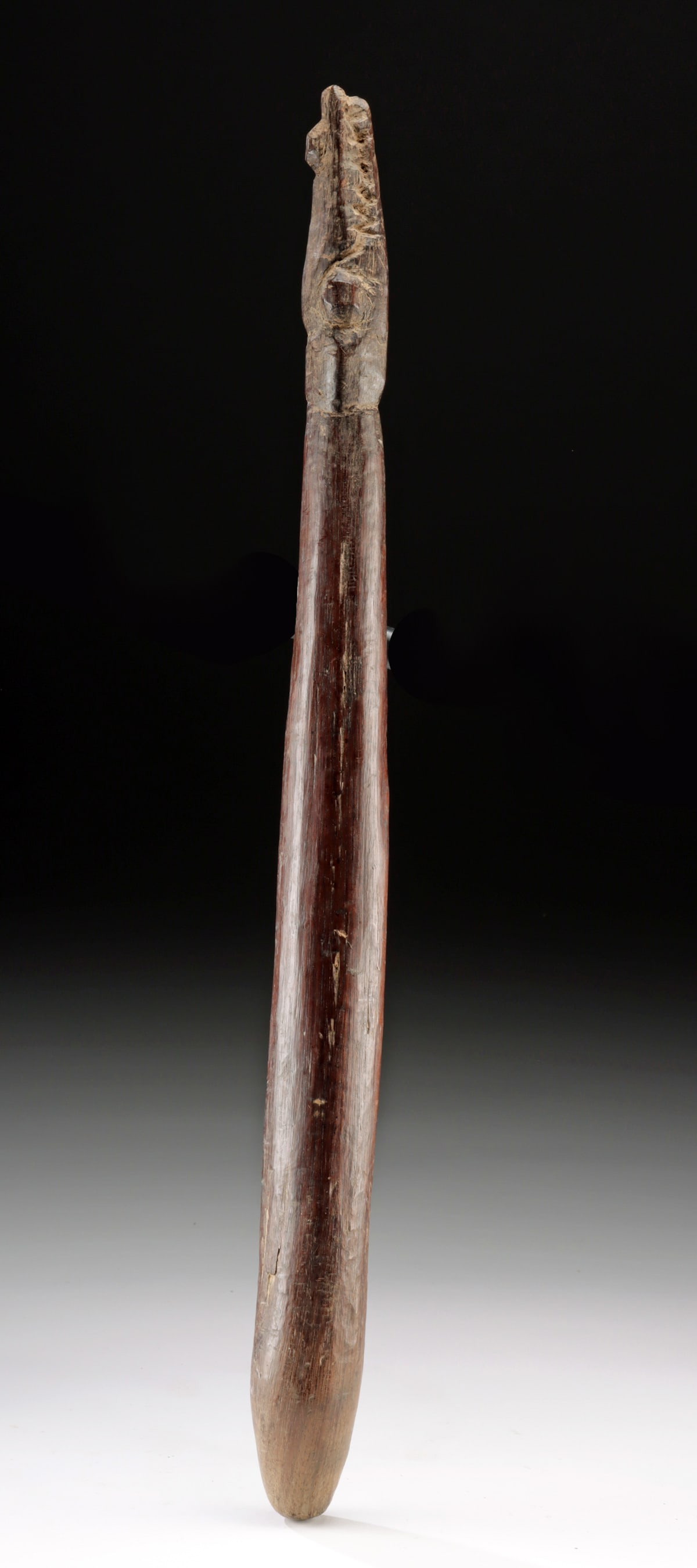 Papua New Guinea Sepik Crocodile-Finial Drum Beater: **Originally Listed At $200** Oceania, Papua New Guinea, Sepik River region, ca. 19th to mid-20th century CE. A robust wooden mallet or striking implement, carved with a powerful crocodile head finial