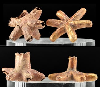 Moche Huari Wood Earspools w/ Gold & Silver (pr)