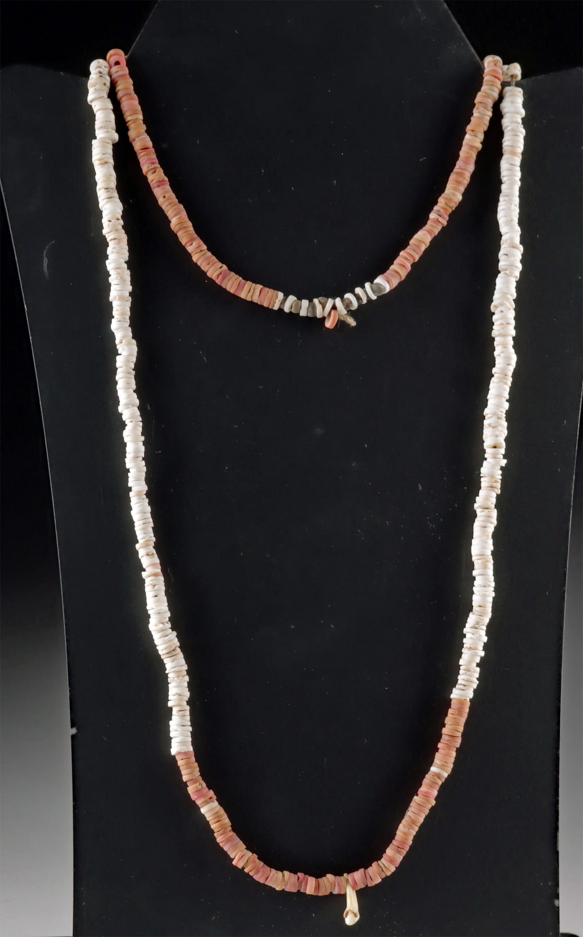 Pre-Columbian Shell, Stone & Teeth Beaded Necklace: **Originally Listed At $400** Pre-Columbian, Colombia, Tairona, ca. 800 to 1200 CE. Interesting and wearable necklace comprised of carnelian stone in orange/pink tones, clam shell and dark stones inte