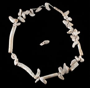 Necklace w/ Ancient Hohokam / Mississippian Shell Beads