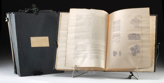 6 Volumes of Allen's "System of Human Anatomy"