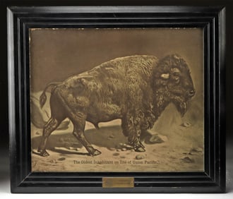 "Oldest Inhabitant on Line of Union Pacific" - Original Photogravure