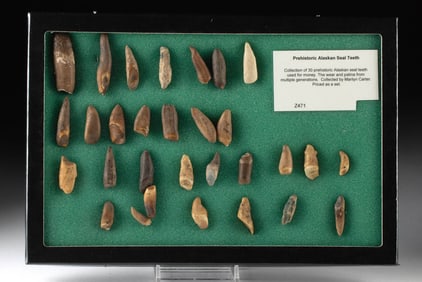 Various Native Alaskan Whale and Seal Teeth, 30 pcs