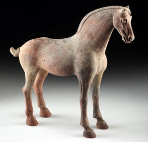 Tang Dynasty Pottery Horse - Graceful Standing Form