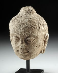 4th C. Gandharan Stucco Buddhist Head w/ Ushnisha, Elongated Ears