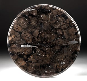 Fossilized Tabletop Slab with Orthoceras & Ammonites