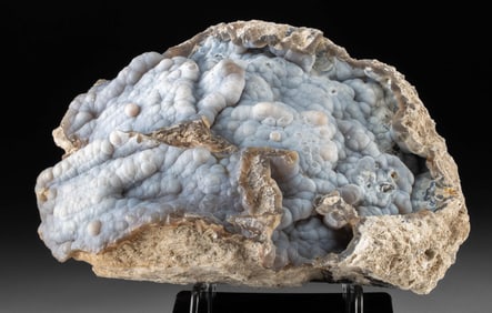 Fossil Coral, Lilac-Blue Chalcedony Botryoidal Crystals