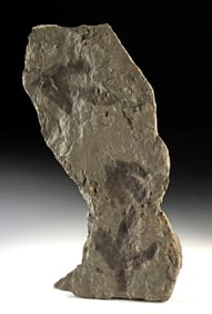 Jurassic Grallator Theropod Dinosaur Footprint Fossils