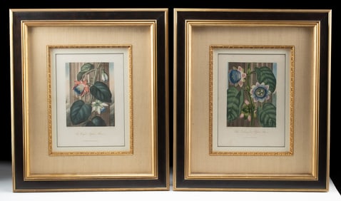 2 Robert John Thornton Botanical Engravings (1812)