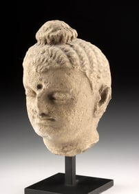 Gandharan Stucco Head of Buddha - Early Buddhist Art