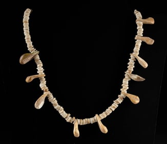 Native American Shell & Marine Mammal Tooth Necklace