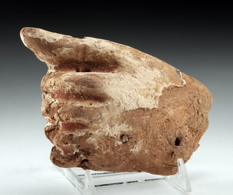 Ancient Egyptian Wood & Gesso Sarcophagus Hand