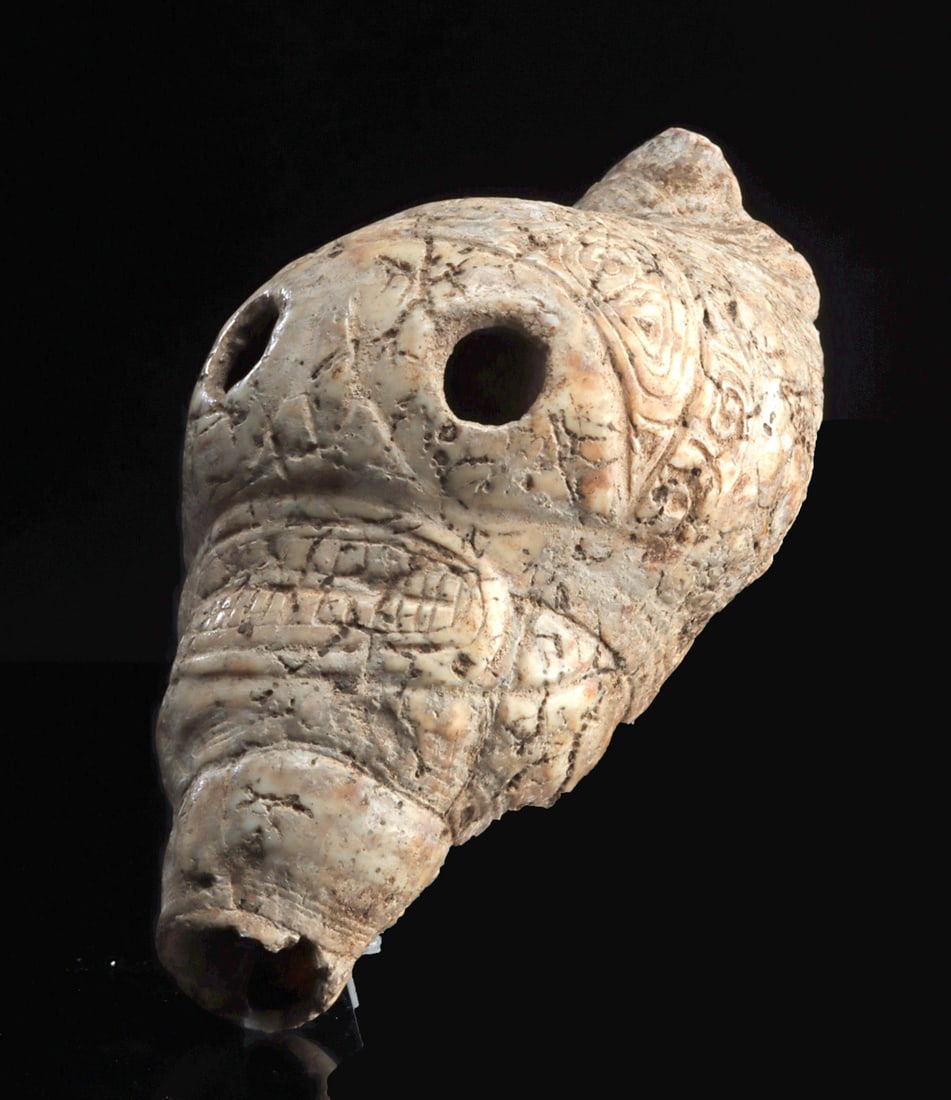 Rare Taino Shell, Carved Skull Face Effigy: Pre-Columbian, Caribbean, perhaps Dominican Republic, Taino (Arawak) peoples, ca. 1000 to 1500 CE. A remarkable carved marine shell transformed into a sculptural effigy of a skull-like face, its natur