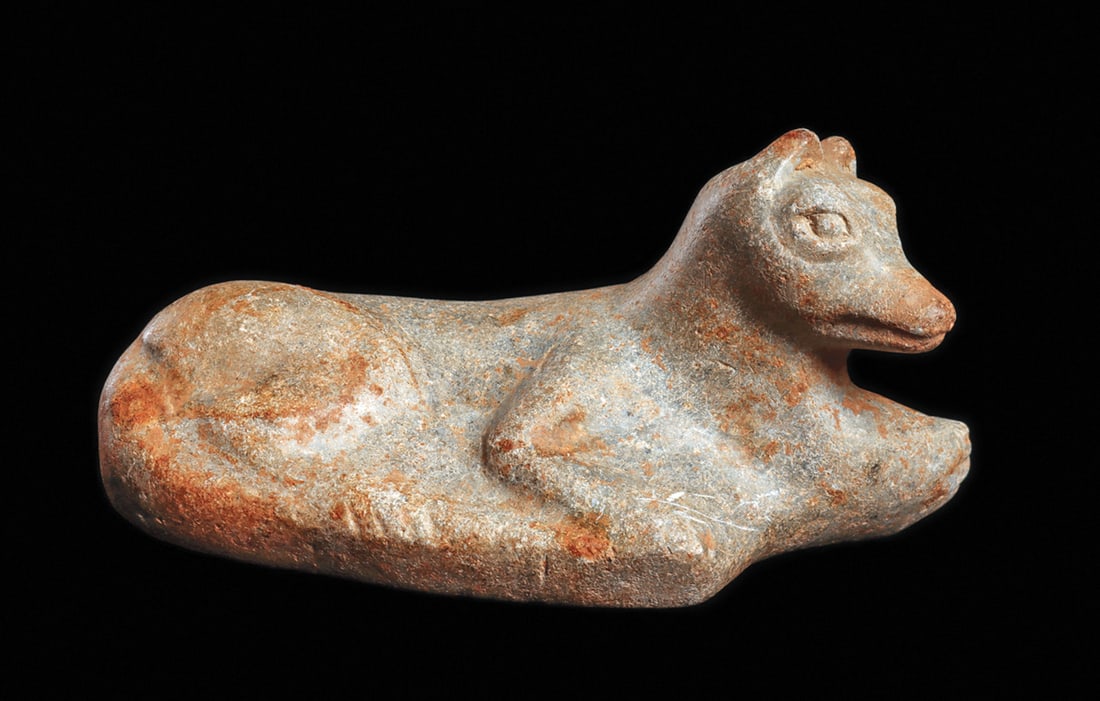 Olmecoid Carved Stone Reclining Fox: Carved greenish-gray serpentine stone reclining canine, head raised and turned to the right. Long tail forms the front edge of the base, and he holds a pointed object with his front left paw, or possi