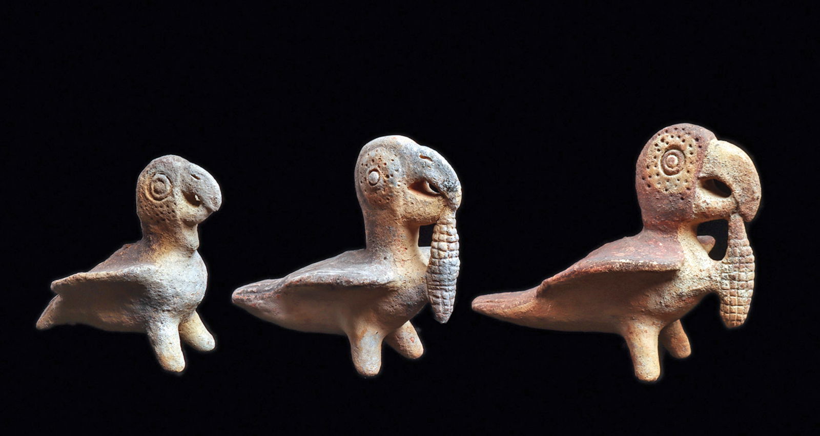Chancay Parrots (3): Three similar pottery parrots, all painted chocolate-brown or black on a cream ground. The two larger examples are holding a corn cob in their beaks, all having stippled detailing surrounding their ey