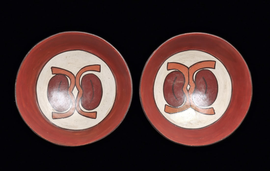 Nazca Polychrome Decorated Bowls (2): Matching pair of polychrome decorated pottery bowls, each having a round bottom and decorated on the interior with a large central roundel with a double sprouting seed pod. Painted in colors of satura