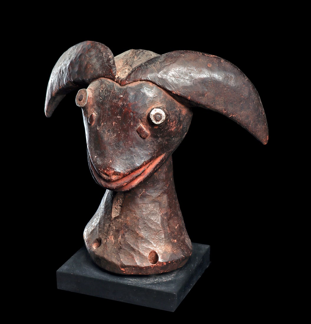 Idoma or Boki Headcrest (1 of 1)