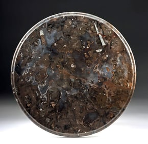 Devonian Fossil Slab Tabletop w/ Orthoceras & Ammonites