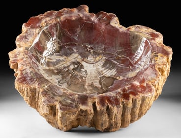 Arizona Petrified Wood - Carved & Polished Bowl